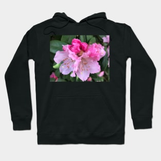 Pink Rhododendron Celebration of Abundance Hoodie